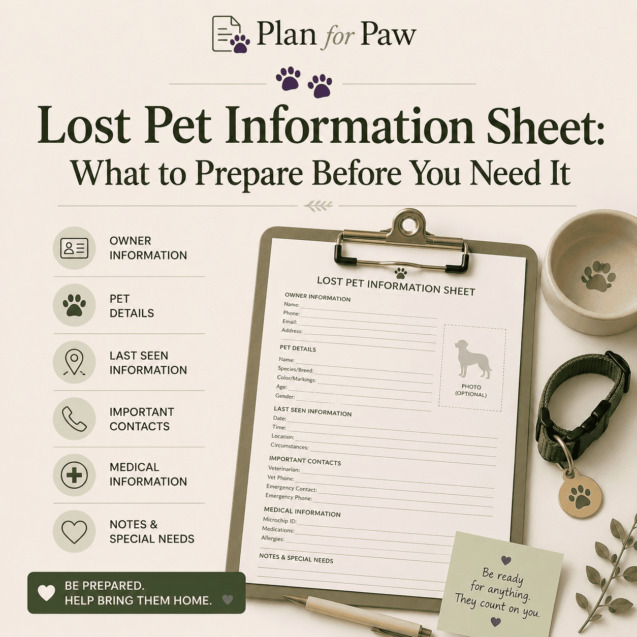 Lost Pet Information Sheet: What to Prepare Before You Need It