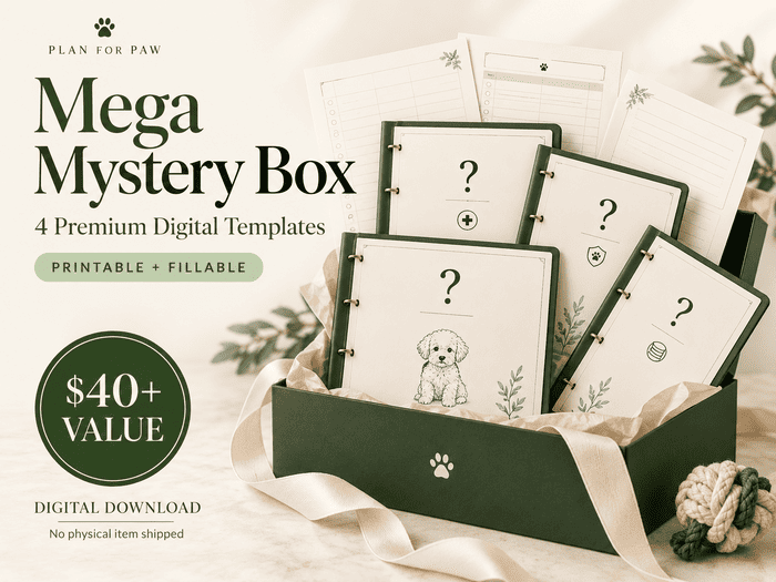 Mega Mystery Box — printable & fillable PDF template